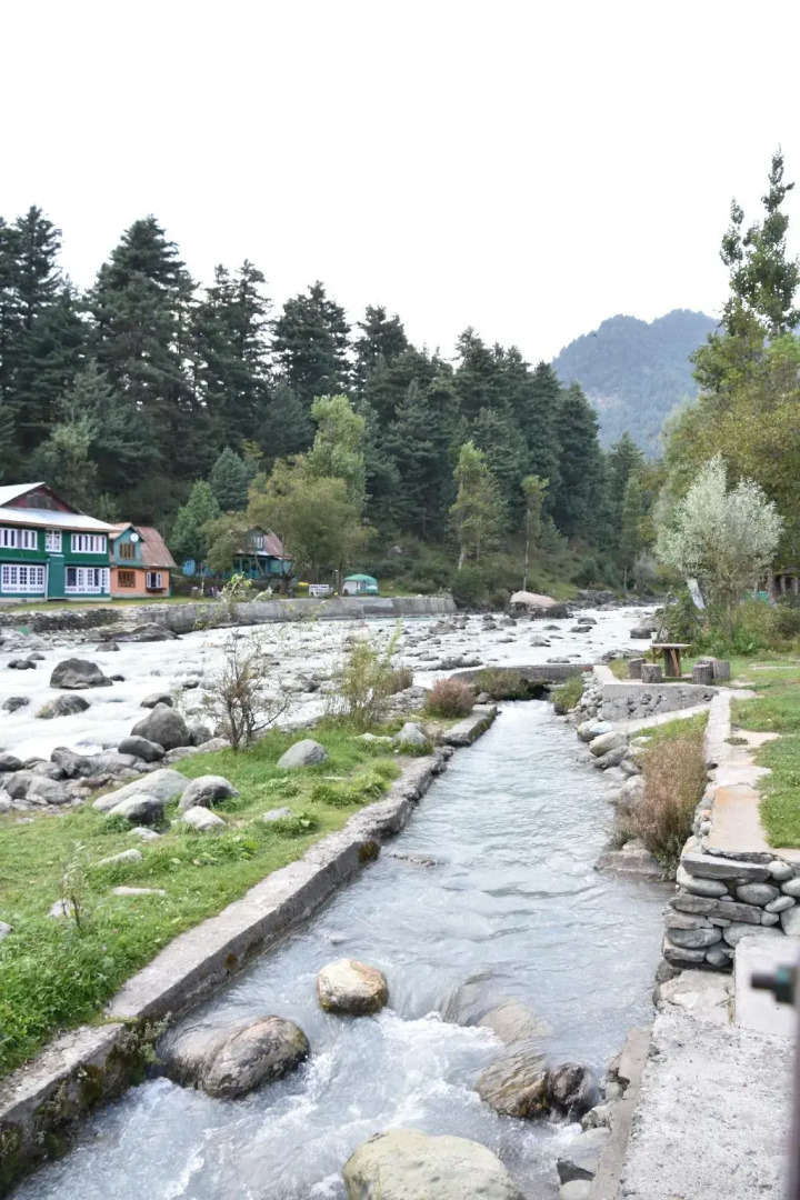 Lidder Resorts Pahalgam