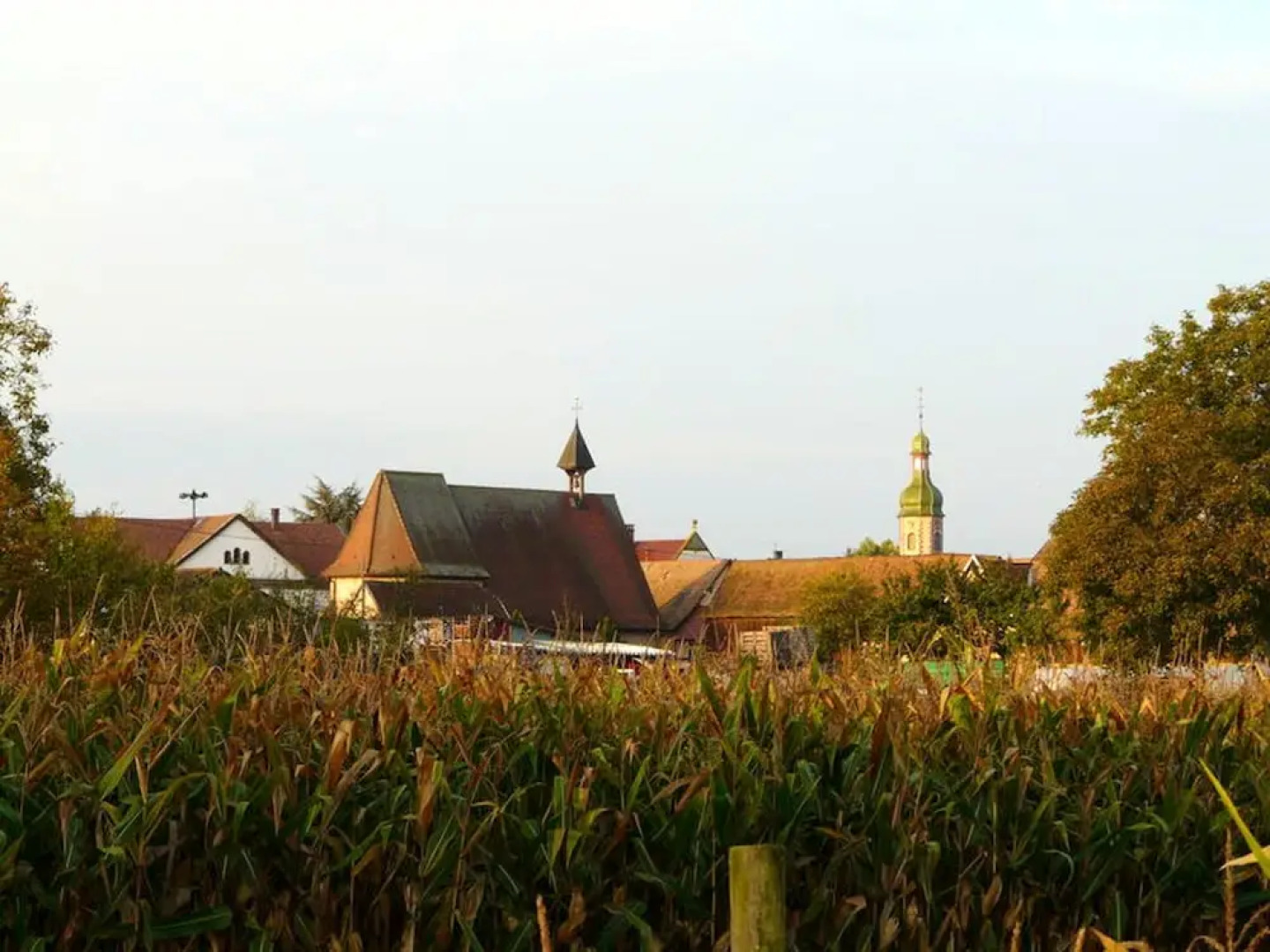 Studio in Valff, With Enclosed Garden and Wifi