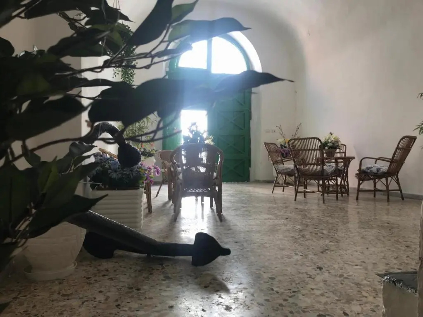 Clorinda - Immobilevante