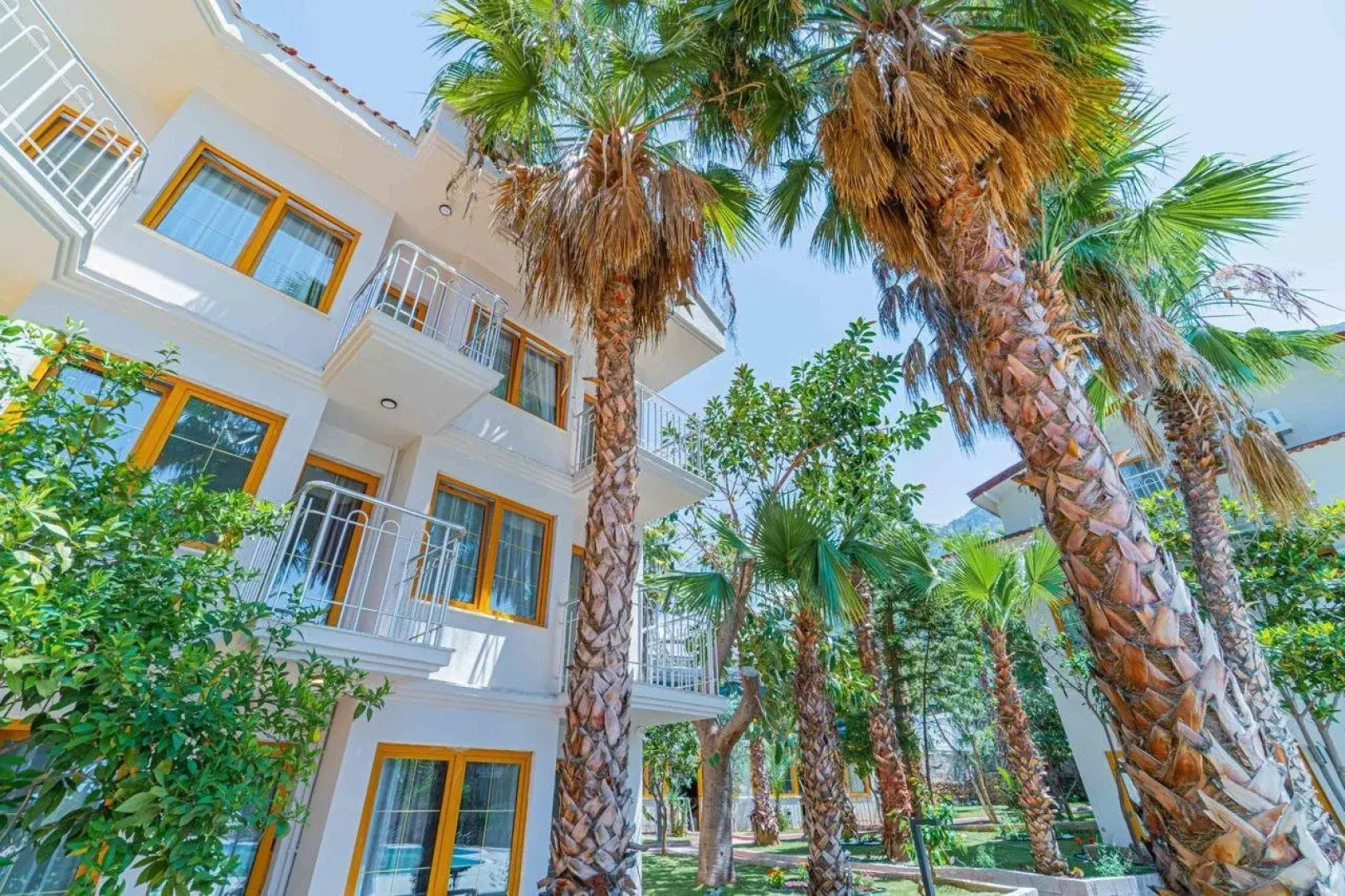 Отель Dream of Oludeniz