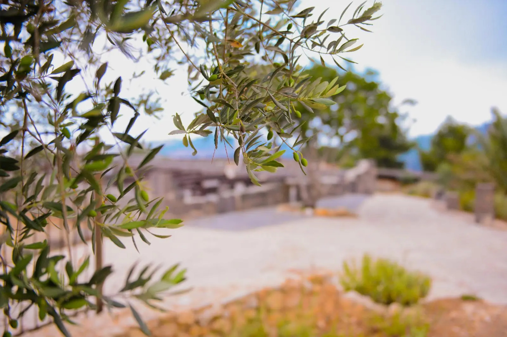 Logos hotel in Yad Hashmona