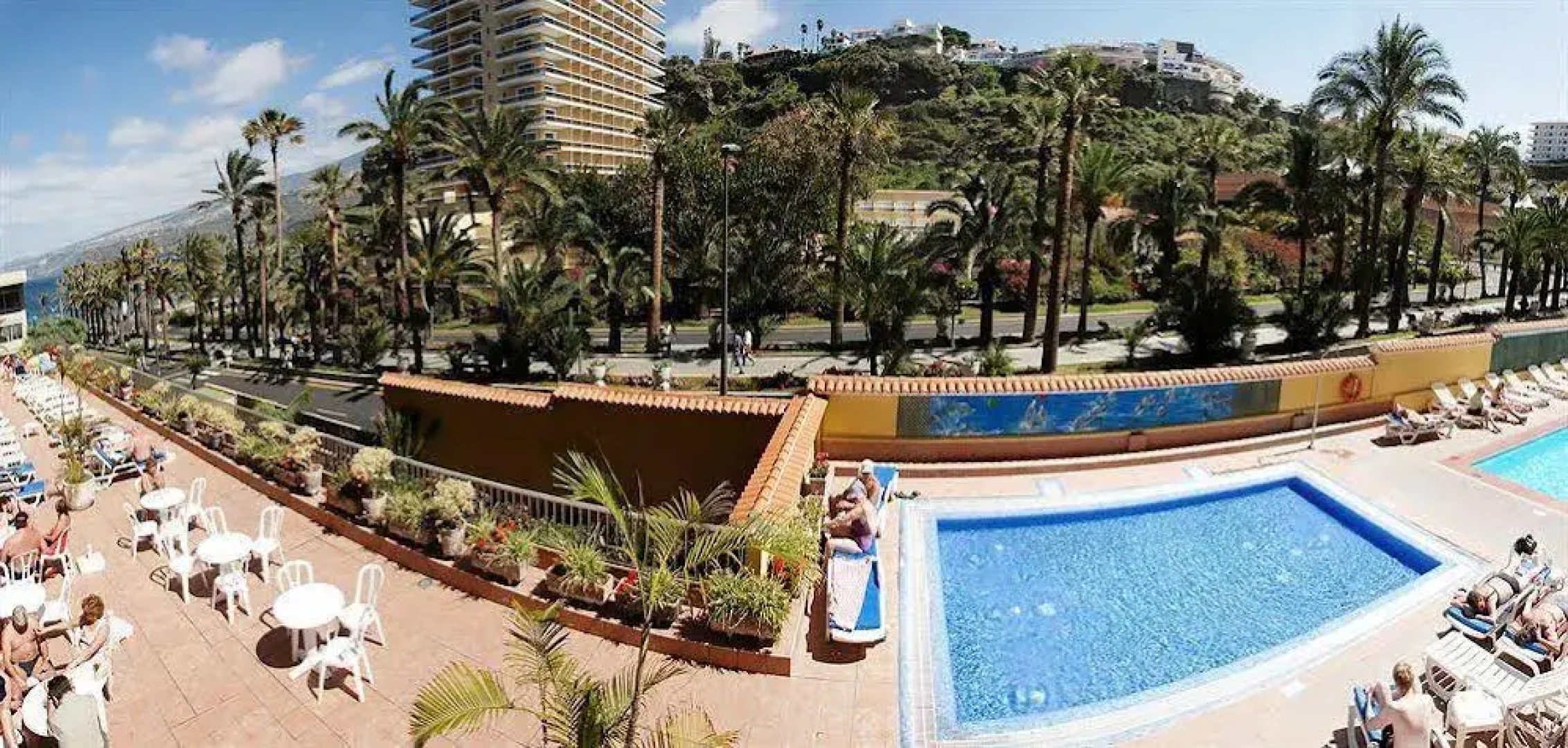 Elegance Palmeras Playa