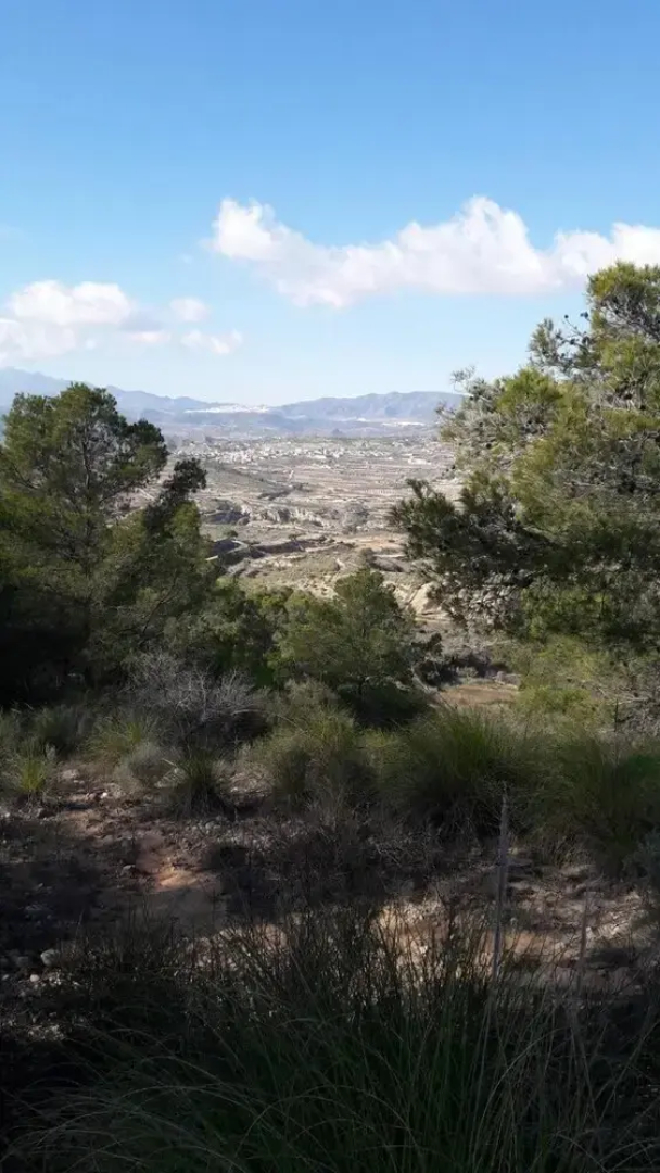 Villa With 3 Bedrooms in Abanilla, With Wonderful Mountain View, Shared Pool, Enclosed Garden