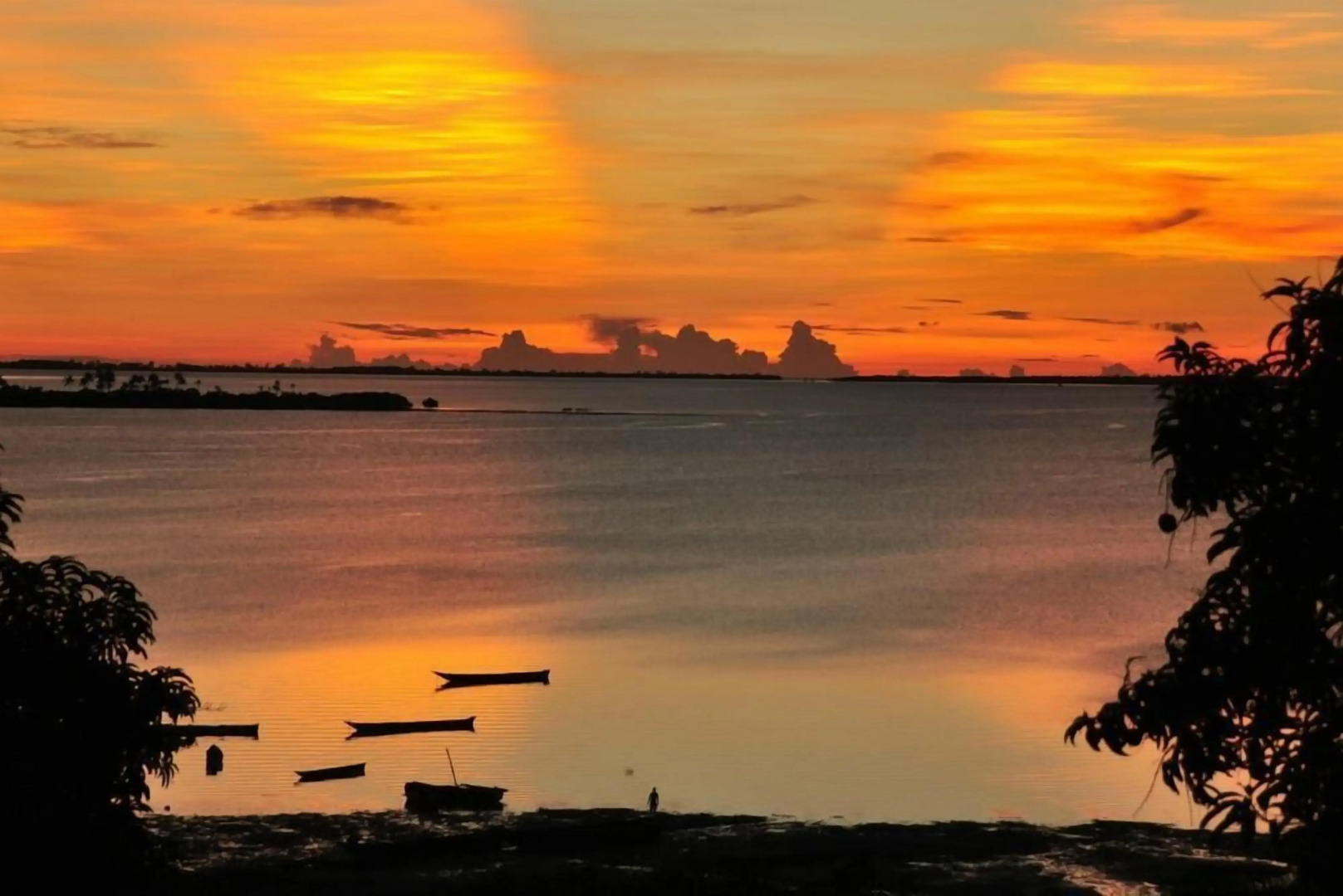 Sharook Lodge - Hostel