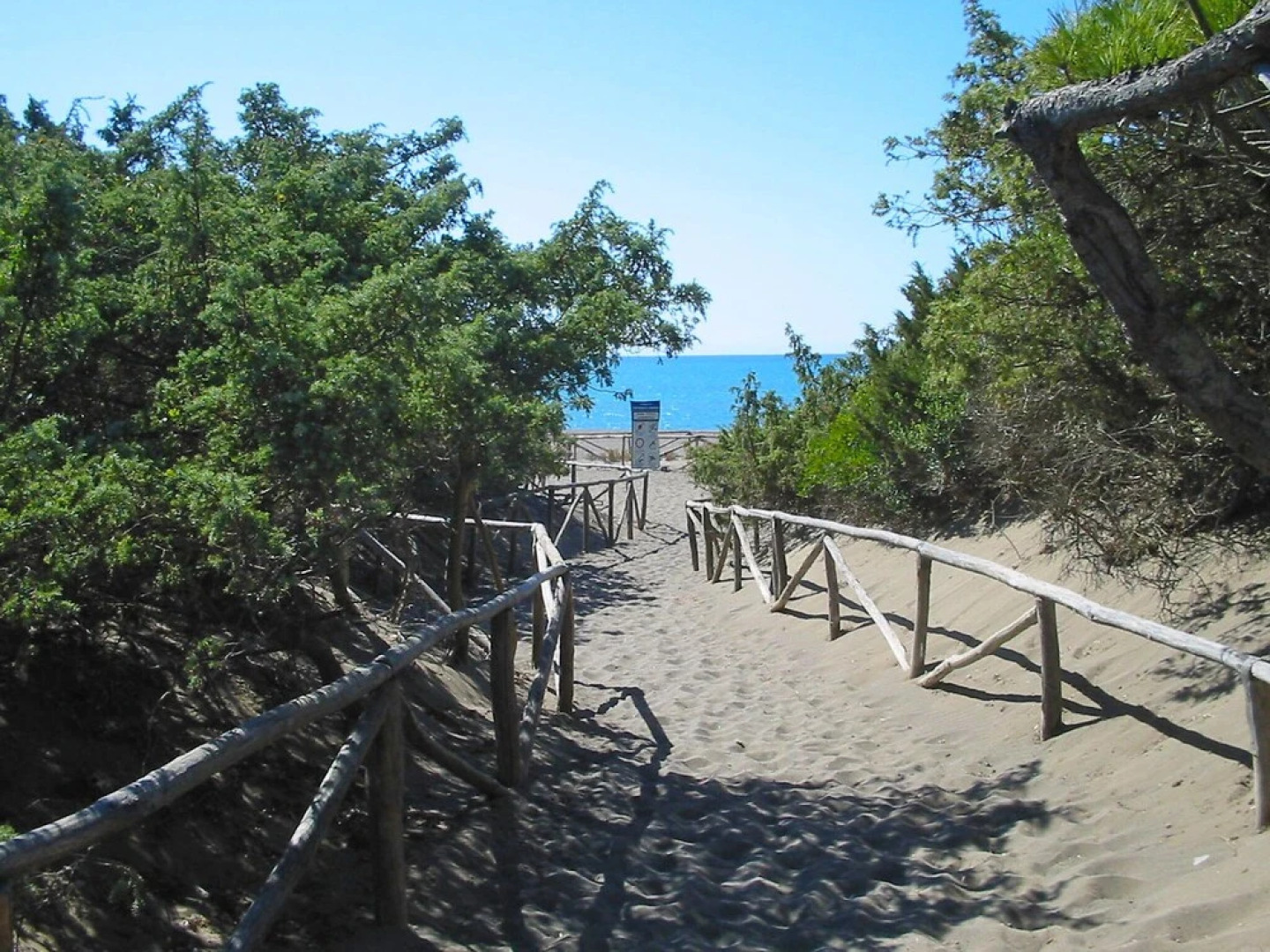 Gineprino Marina di Bibbona