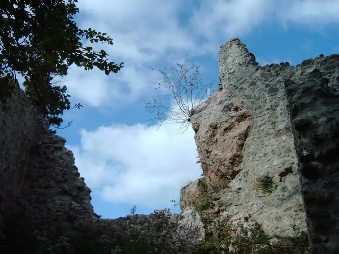 Hotel Pension Fleischmann