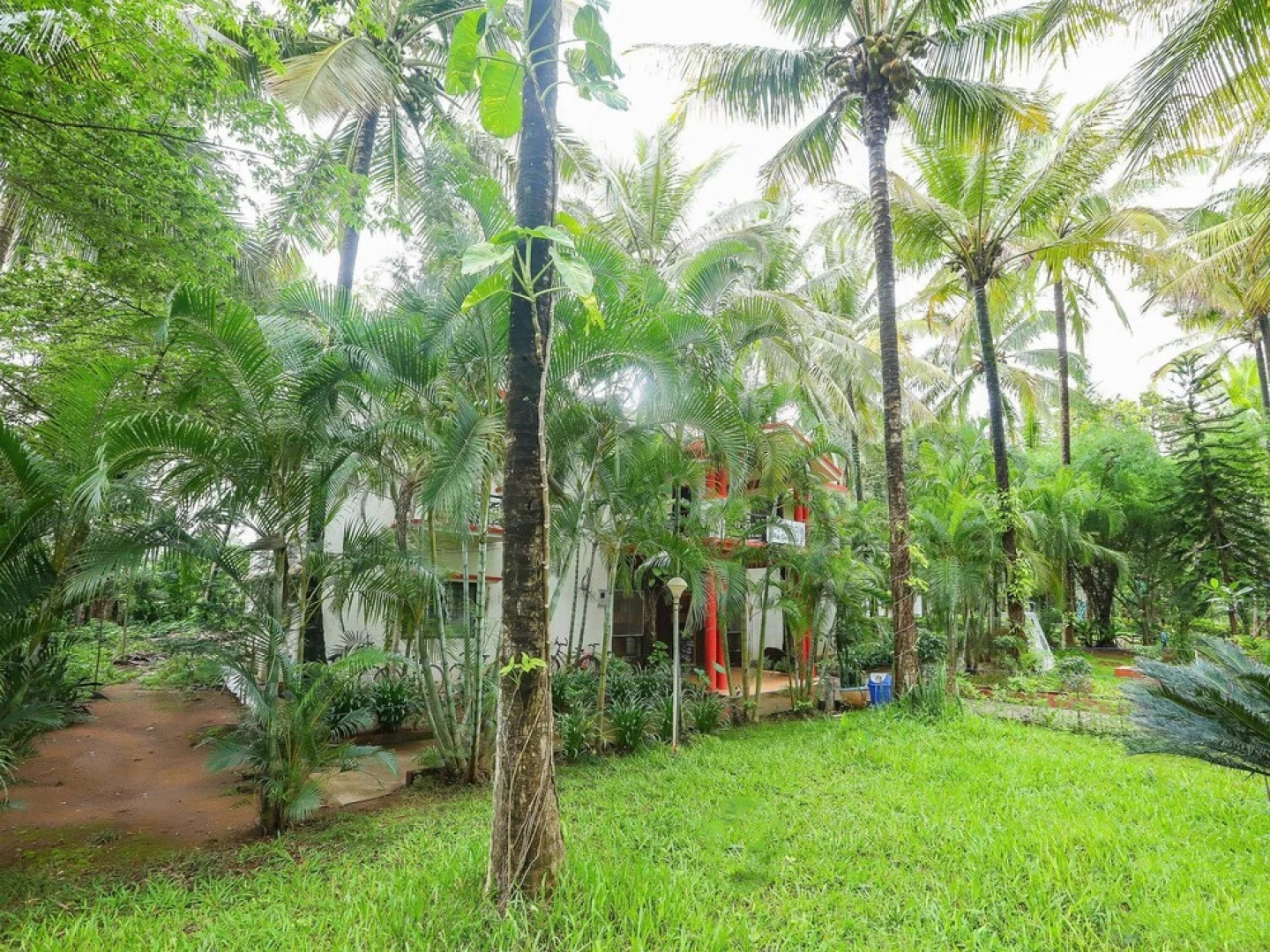 OYO 14369 Kushalnagar