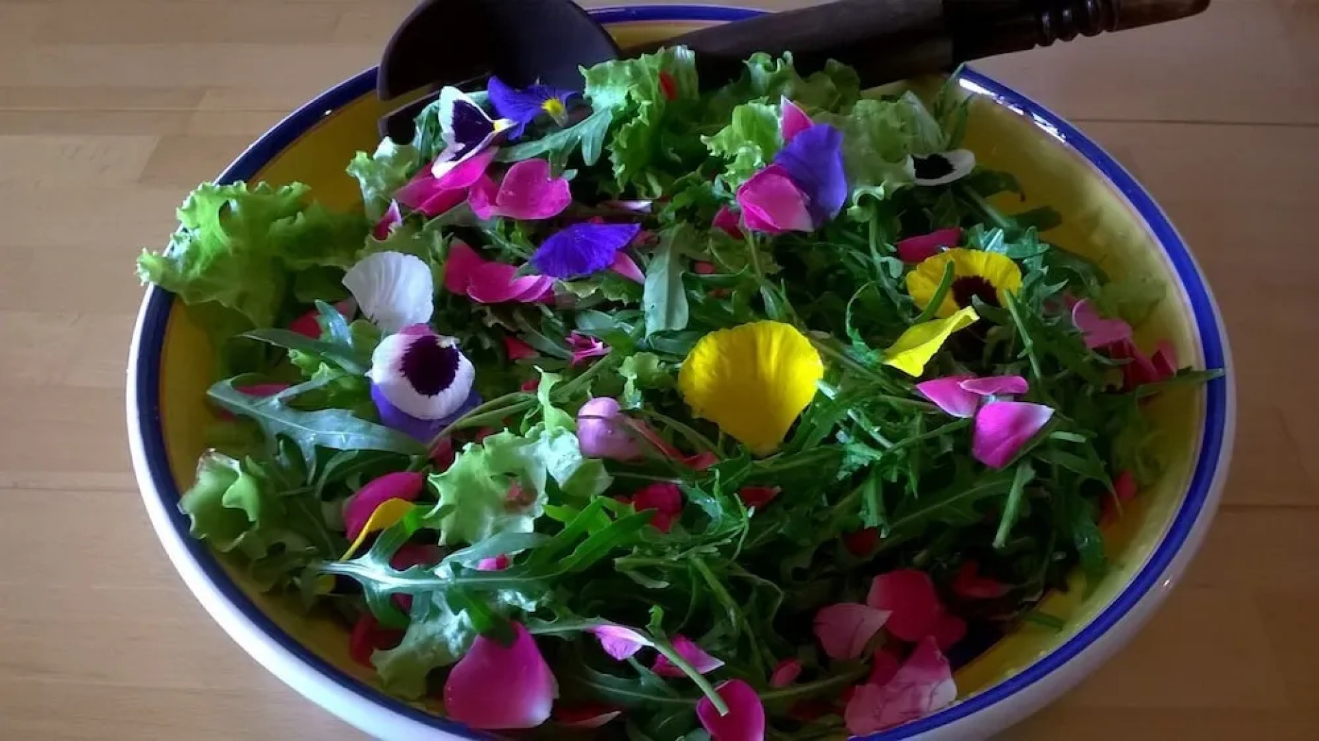 Apartmani KUCA PERIC