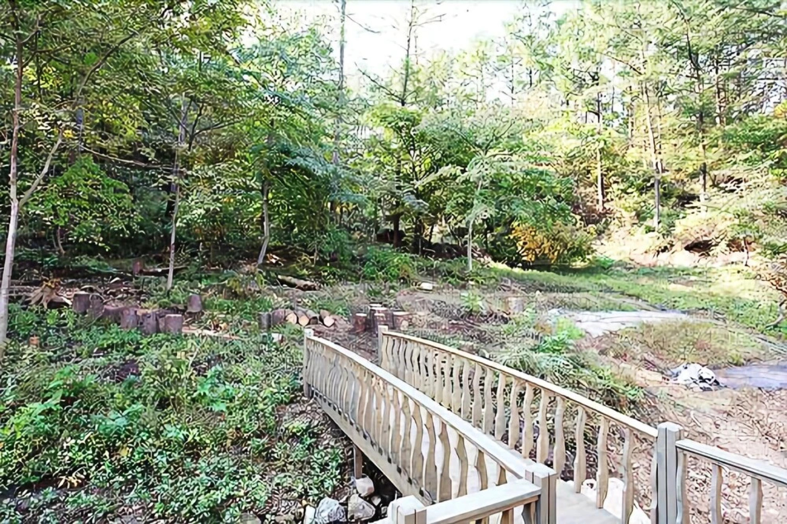 Yangpyeong lime orange