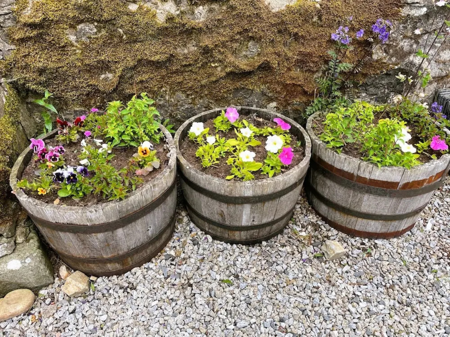 Deveron Valley Cottages and Log Cabins