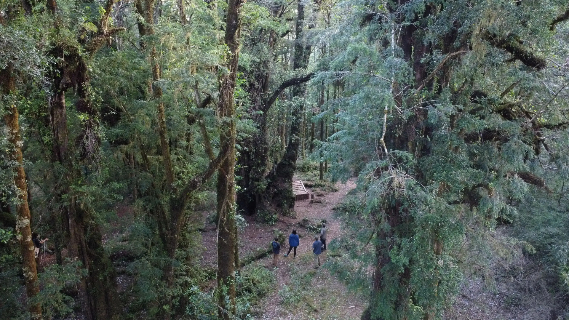 Hotel Parque Tepuhueico