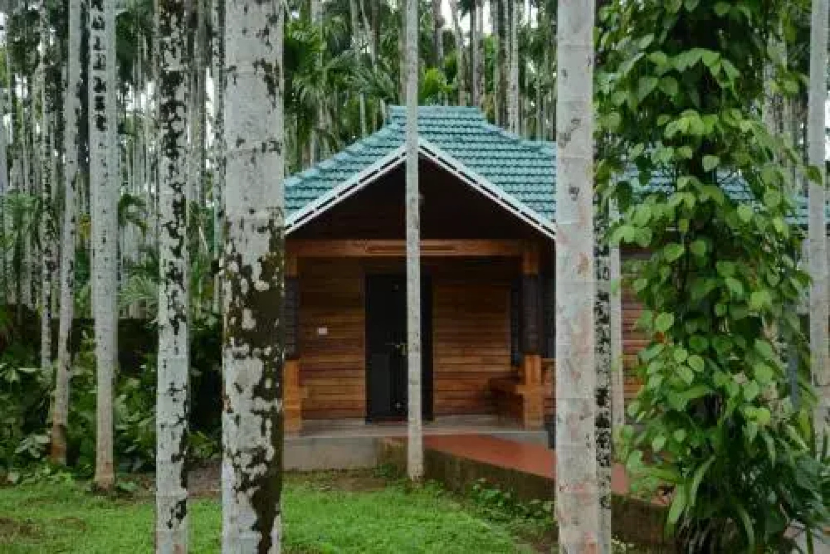 The Story Tellers Grove