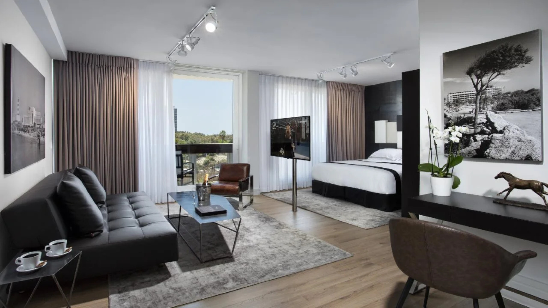 Alexander Hotel– Tel Aviv