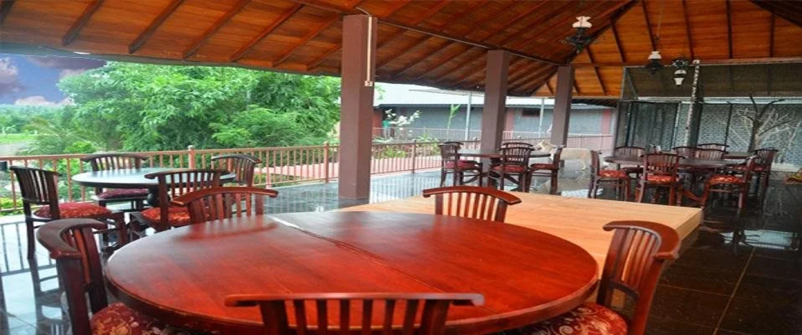 White Peacocks and Birds Resort