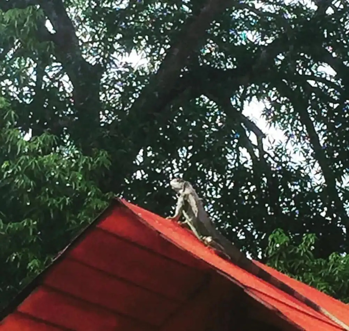 Estancia Ecologica LOS FUNDADORES