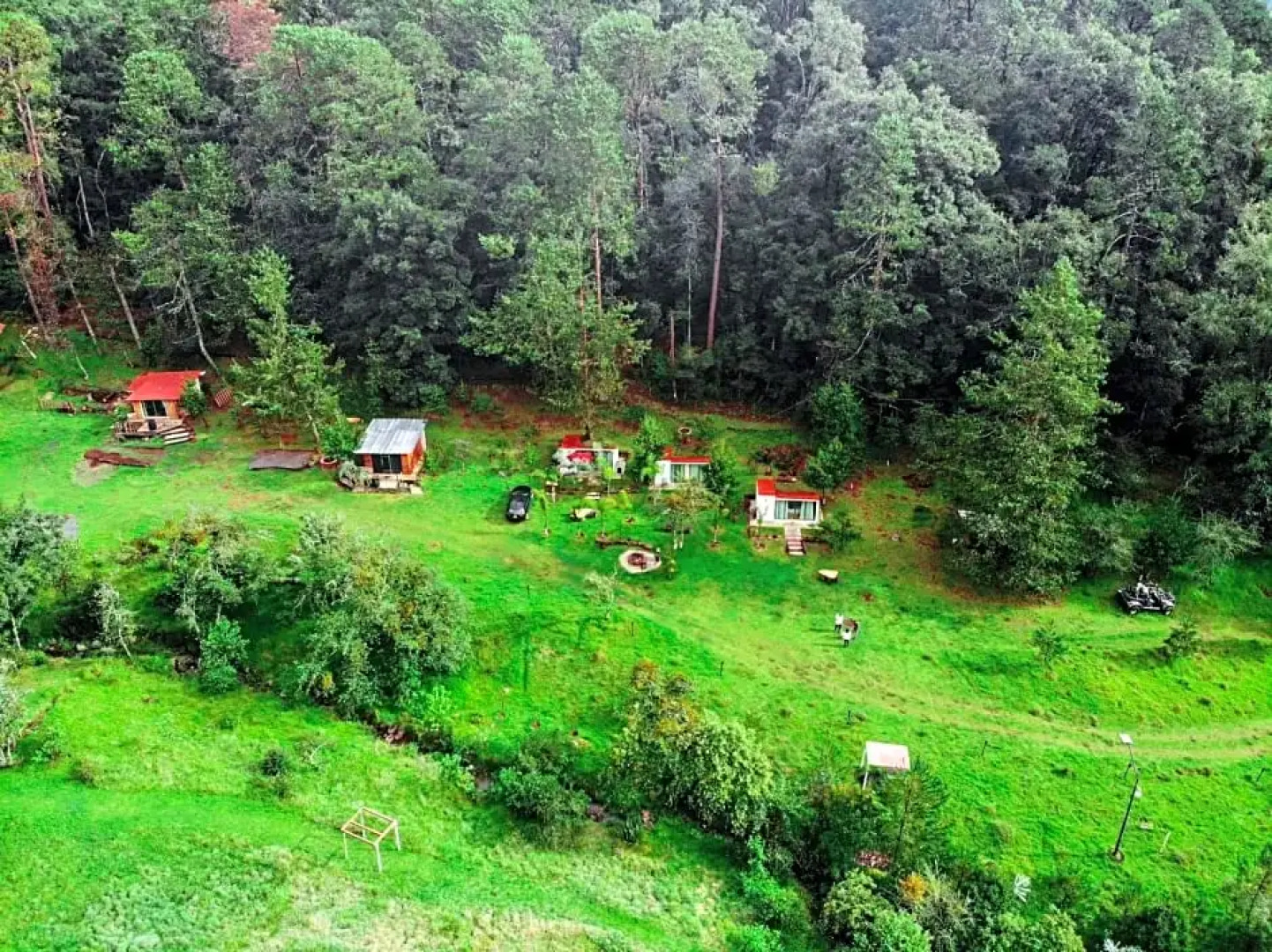 Romanticas Cabañas En Bosque