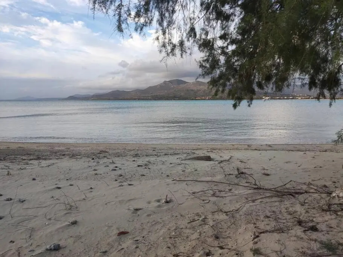 Bahia- apartment by the sea,close to cedar forest!