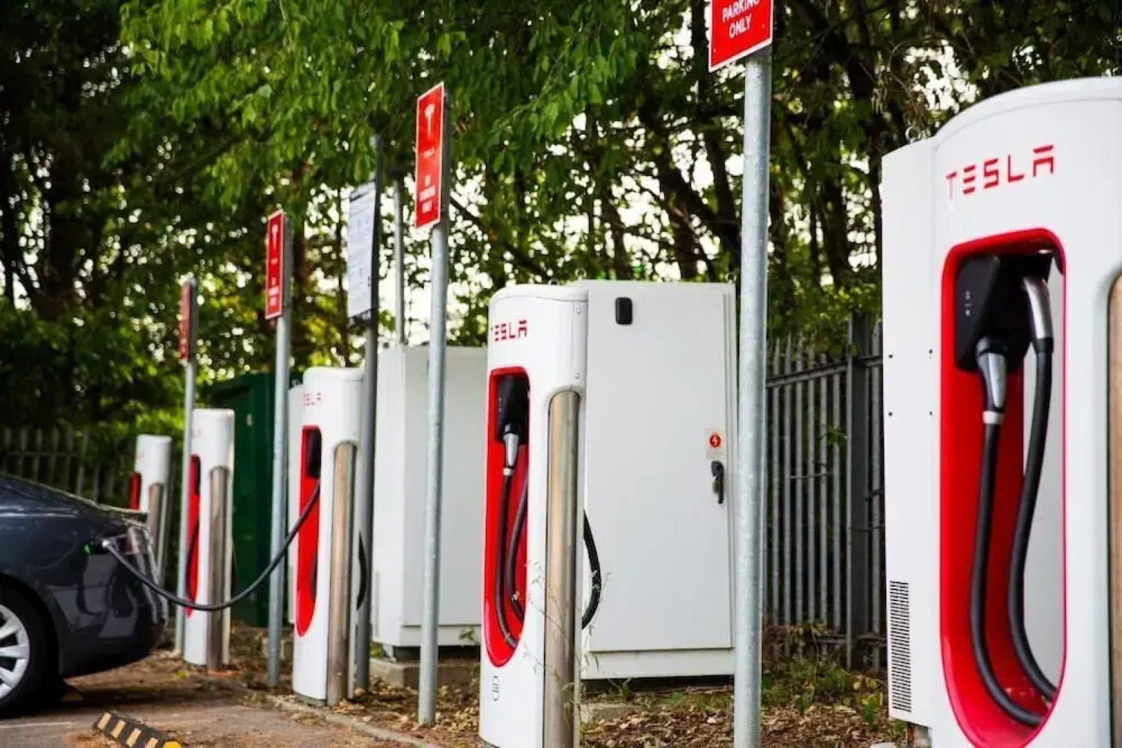 The Reston Hotel Part of AG Collection