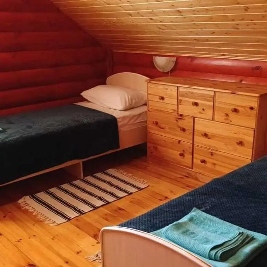 Рябинушка 1