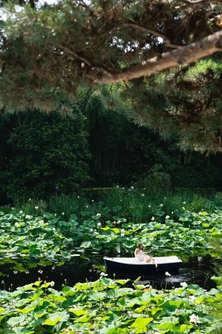 Tranquil 1BR Villa in Revislate