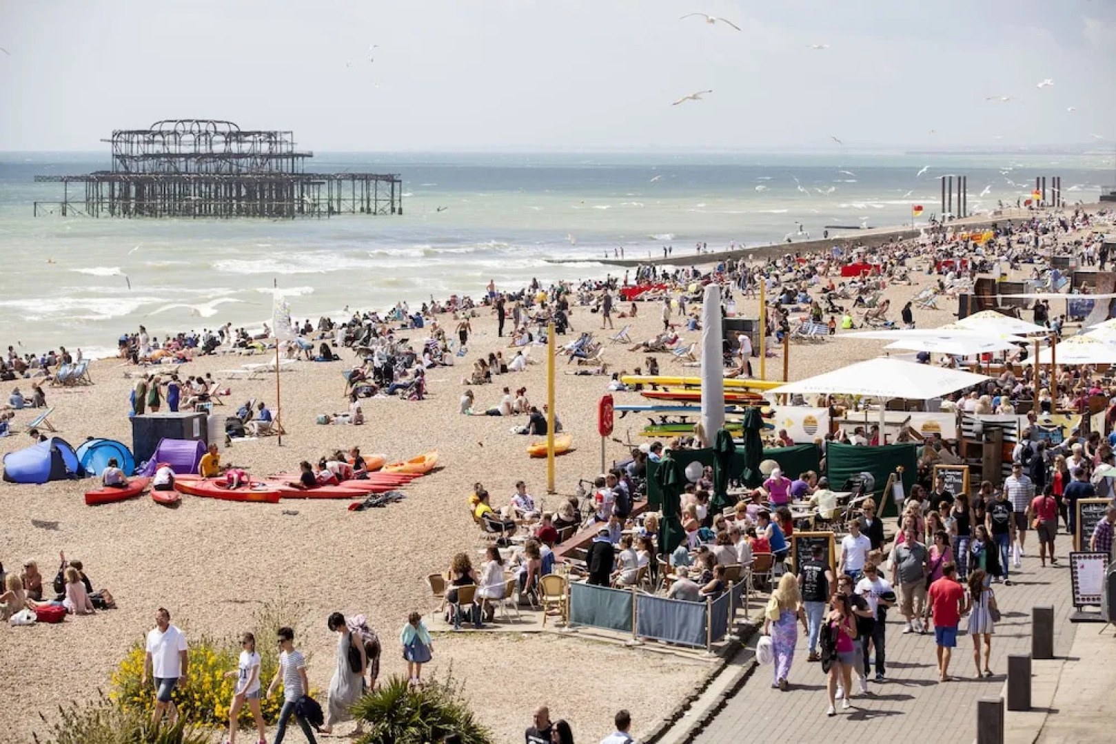 Brighton Getaways-Spacious Studio Apt