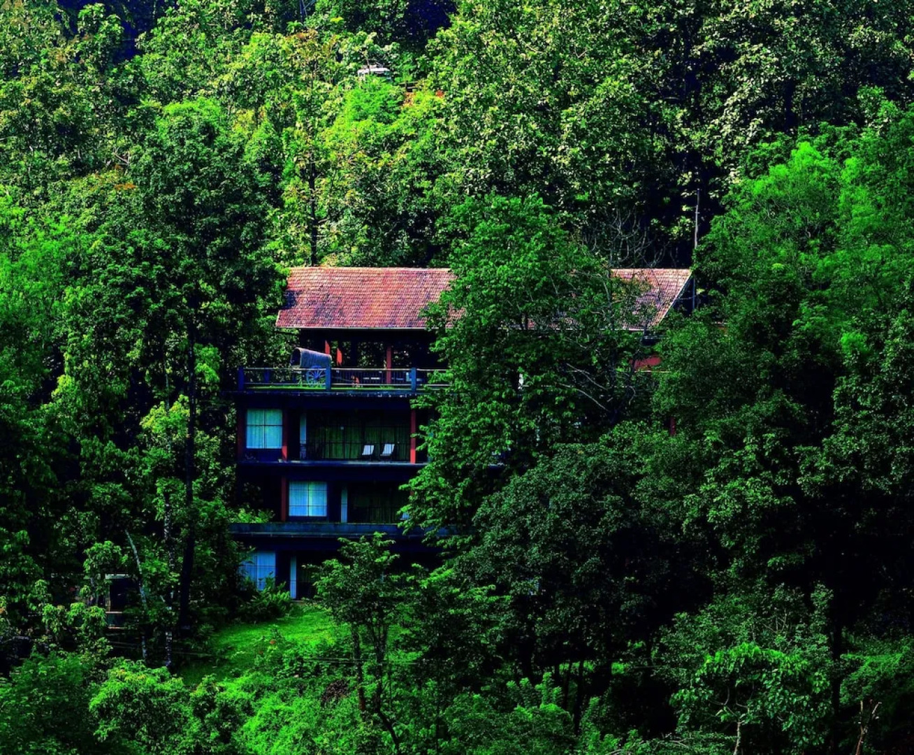 Rainforest Boutique Resort