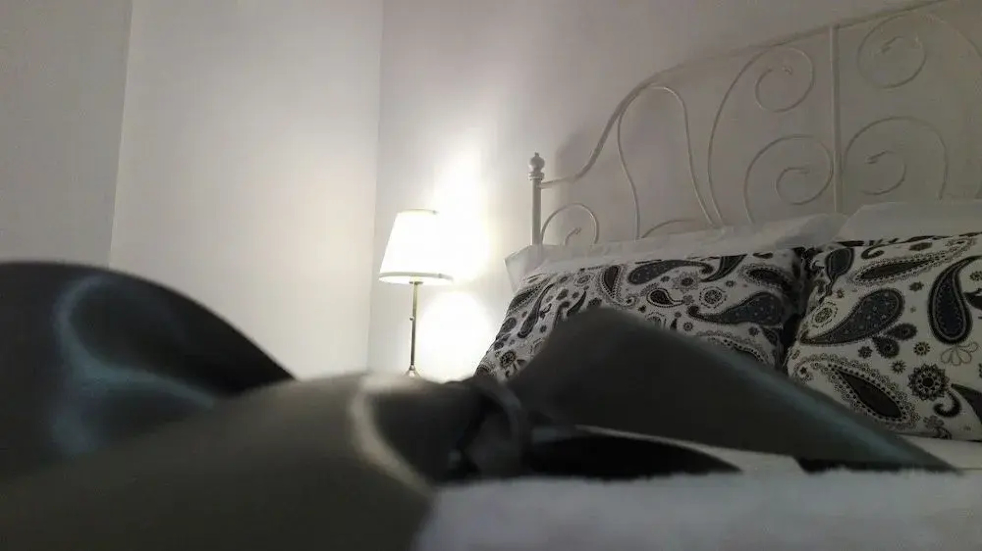 Il Sottano del Conte