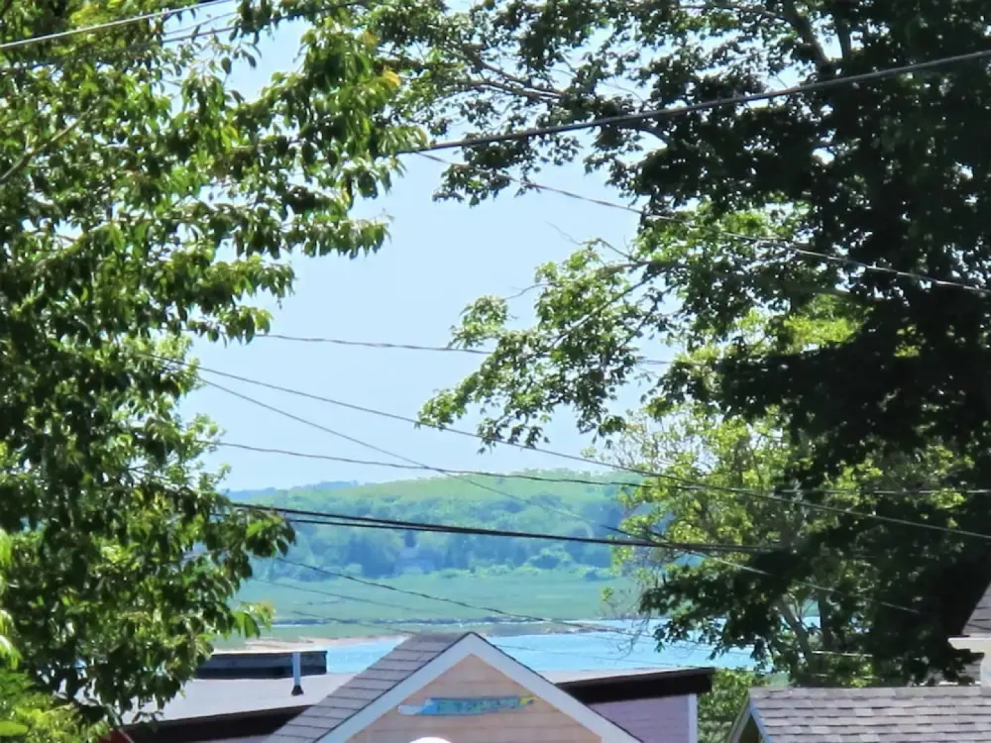 51 Carman - 4 Bedroom House