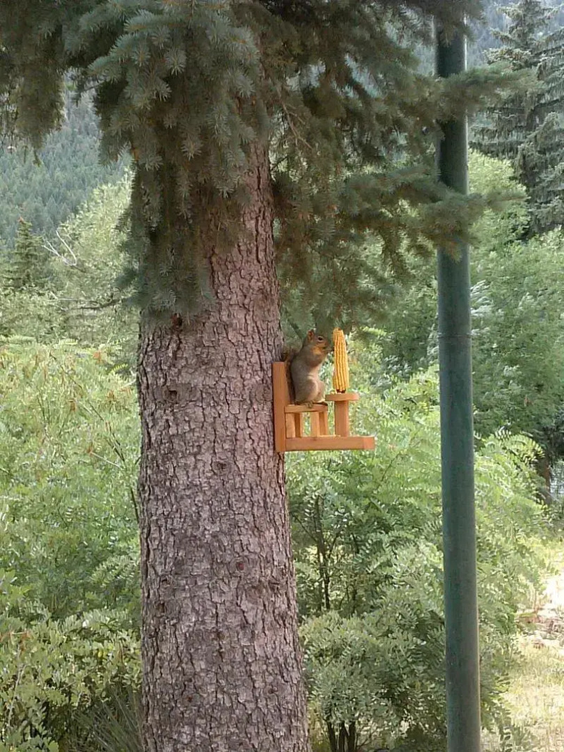 The Green Mountain Falls Lodge