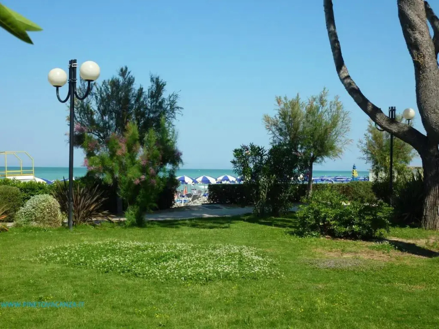 Ficus 2 Pineto Vacanza