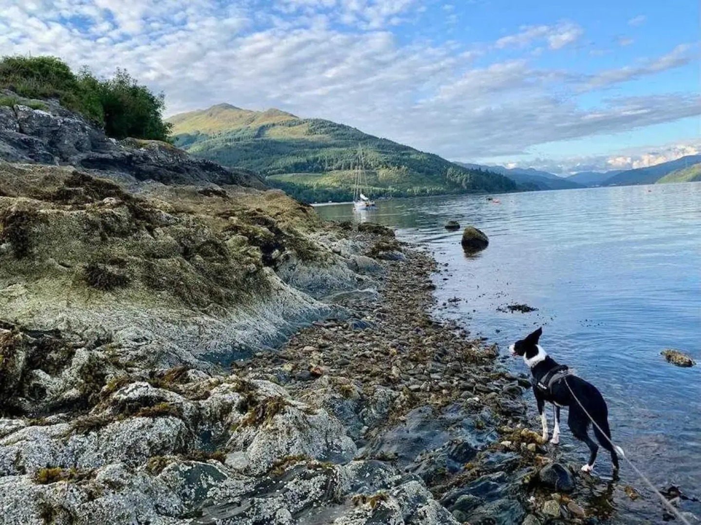 Cottage in Kilmun, Argyll - 2 Bedrooms, Sleeps 2