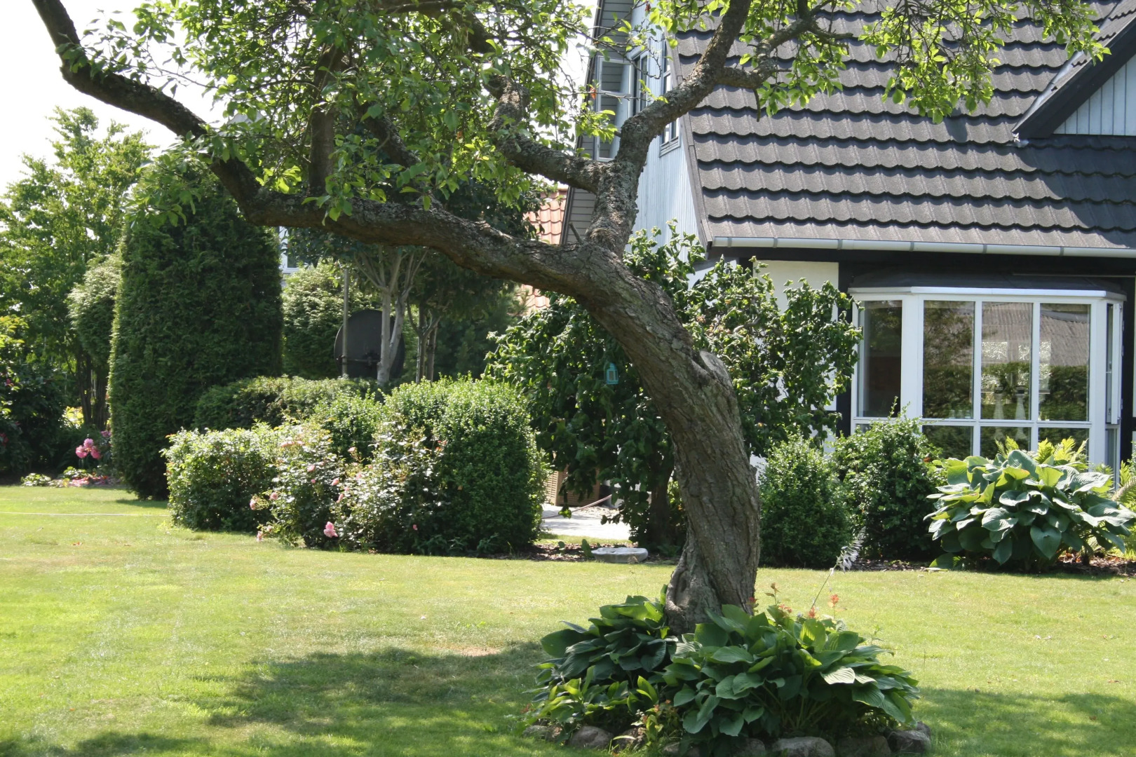 Piccobello Bed & Breakfast