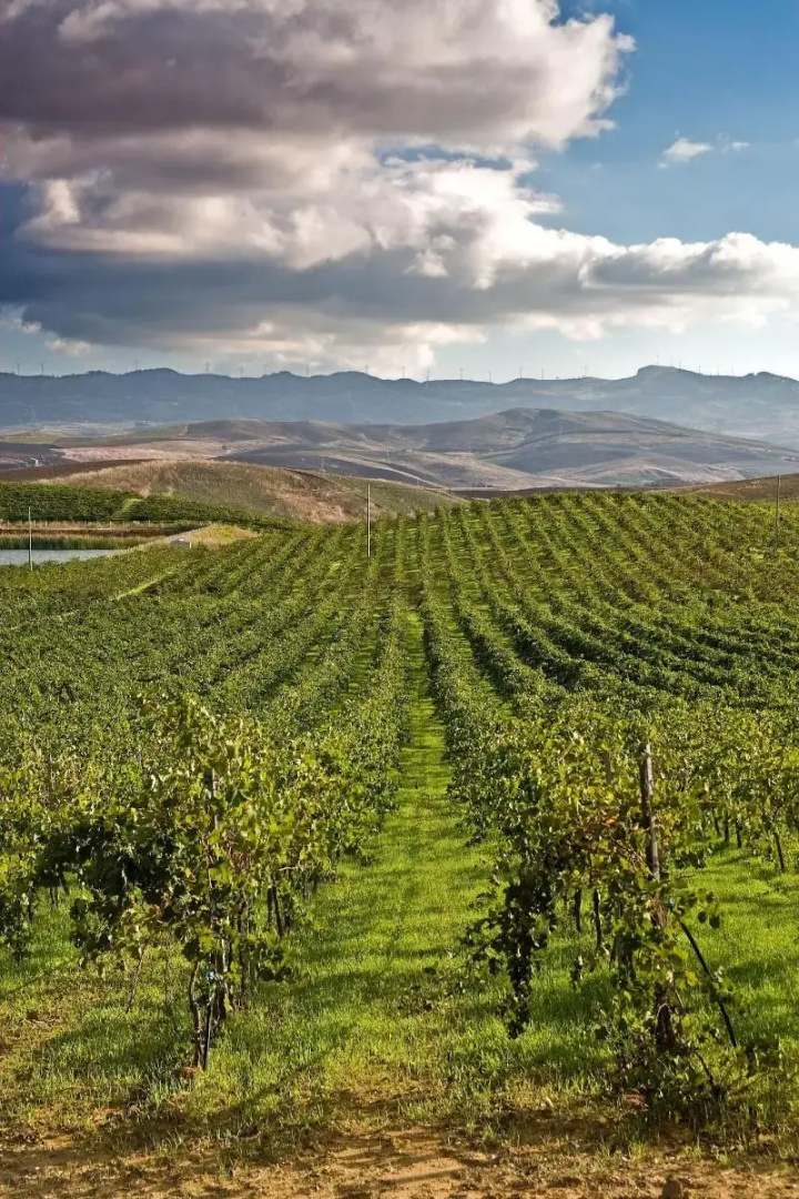 Agriturismo Sirignano Wine Resort