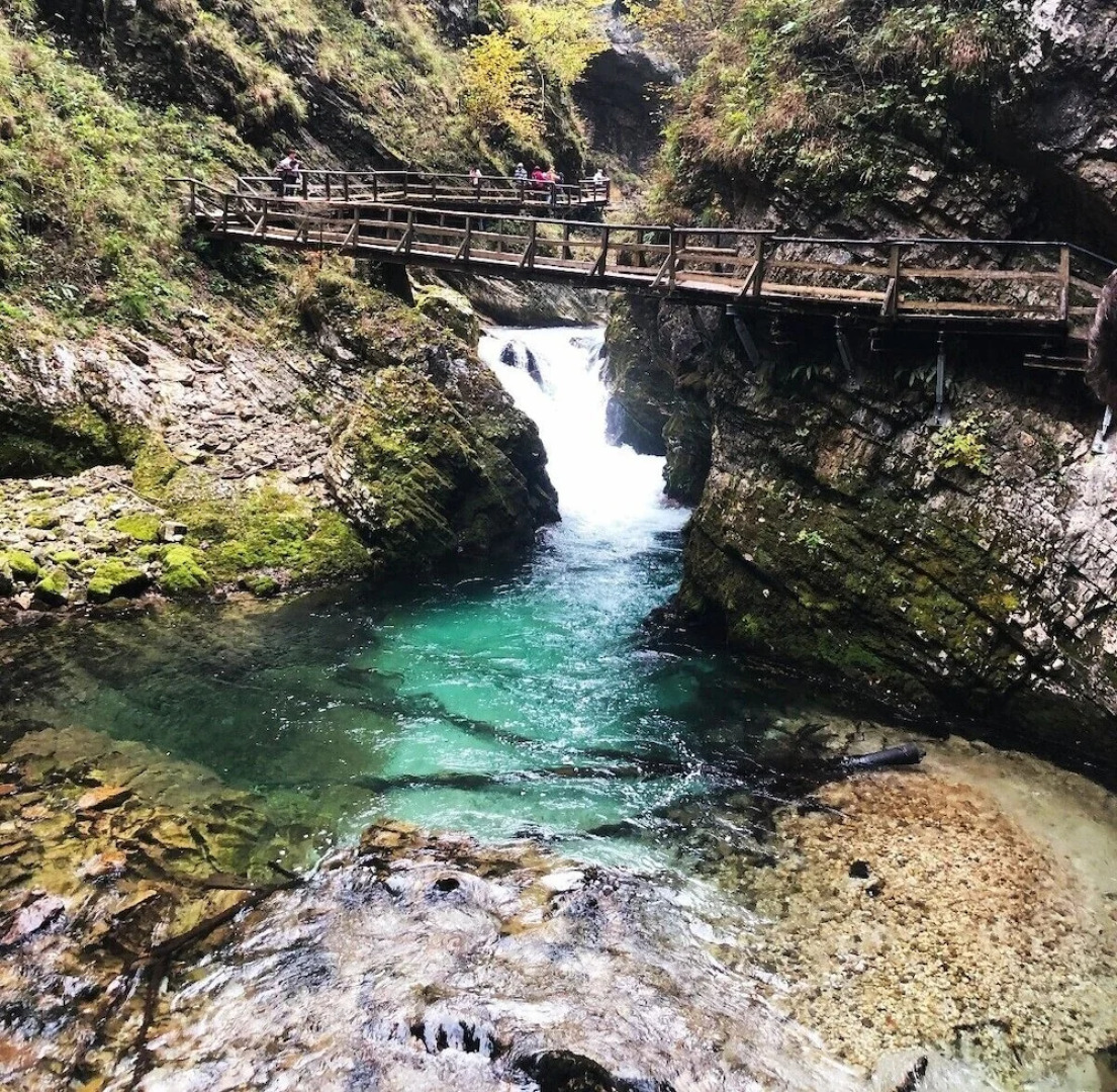 Fairytale Wooden House near Ljubljana