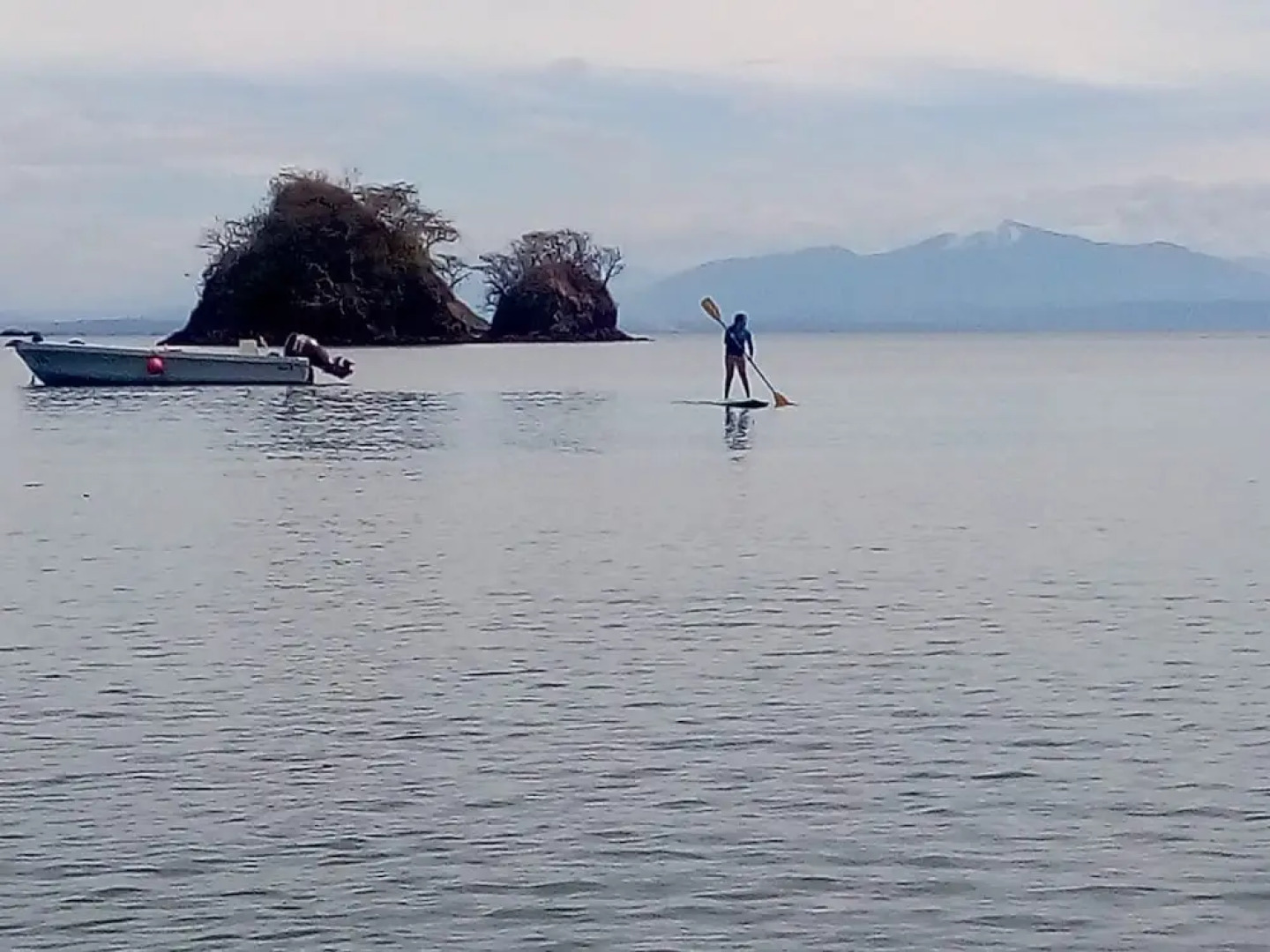 Donde Familia Manito