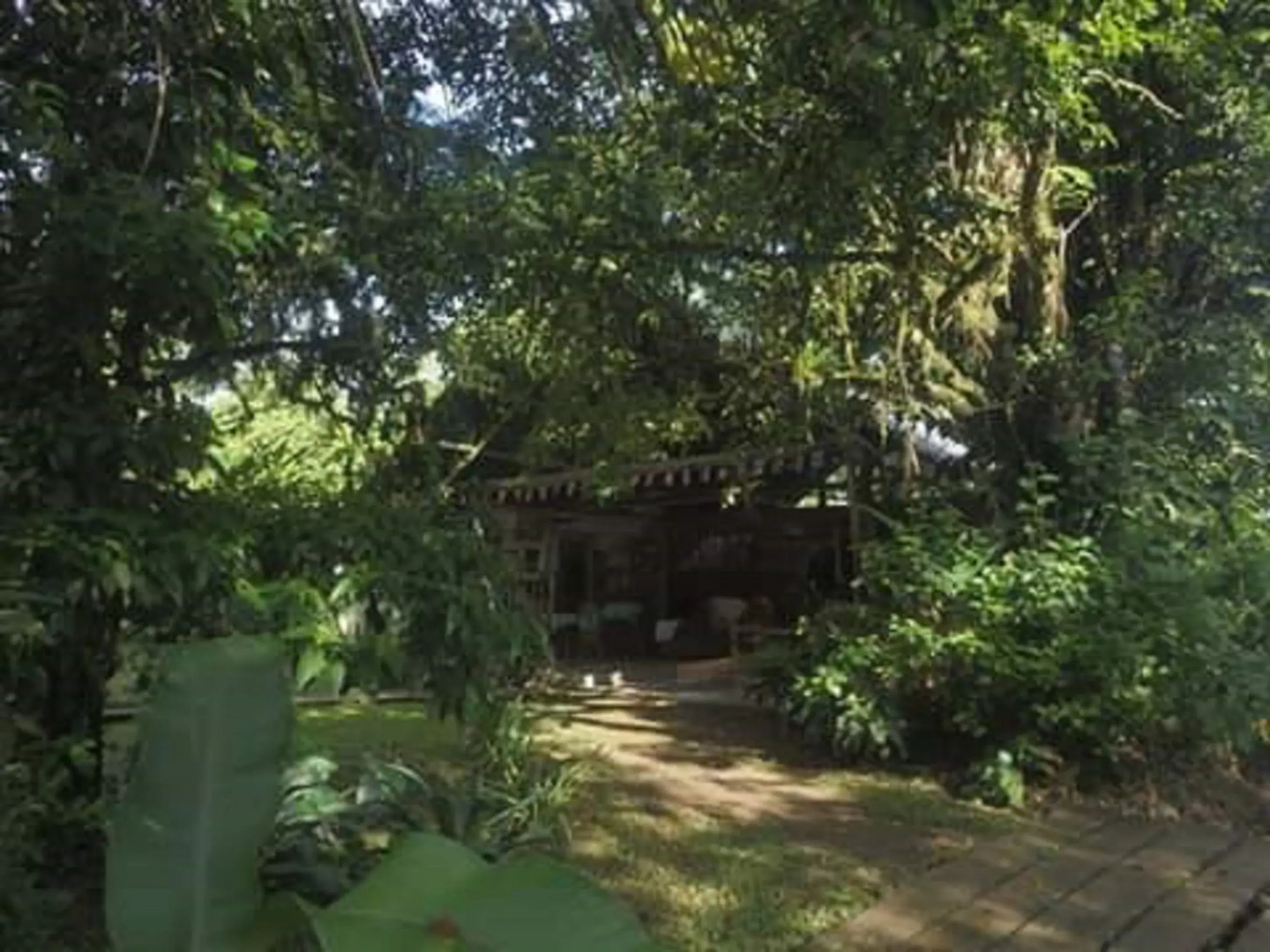 Rancho Verde de Osa