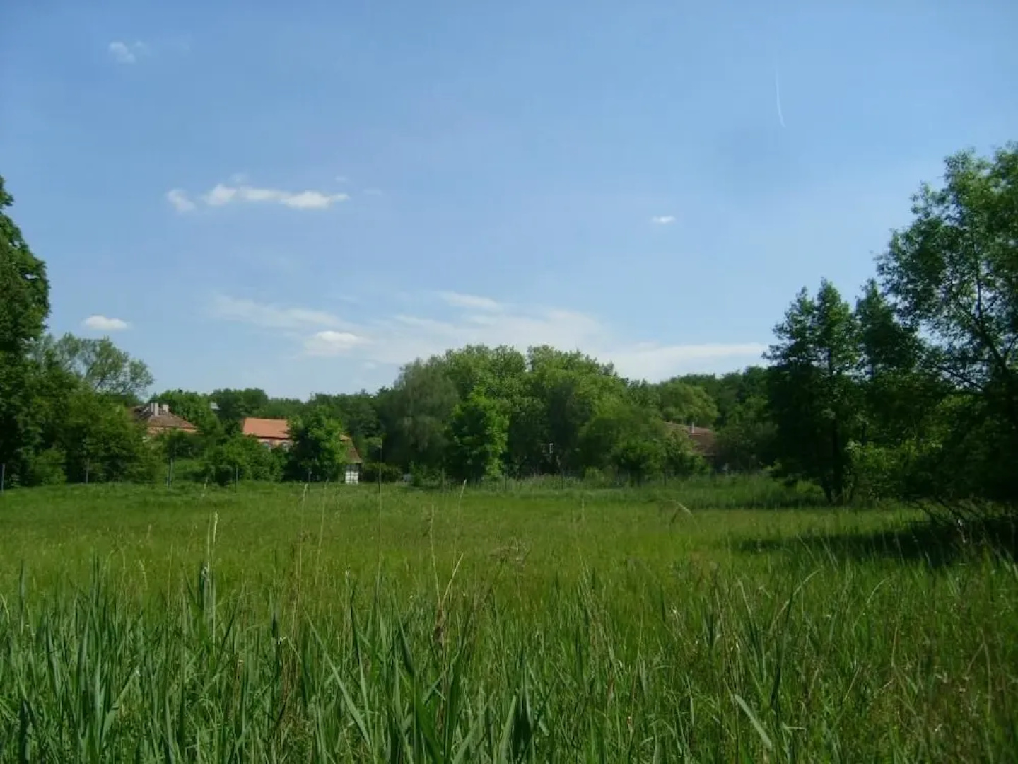 Jagdschloss Mönchbruch