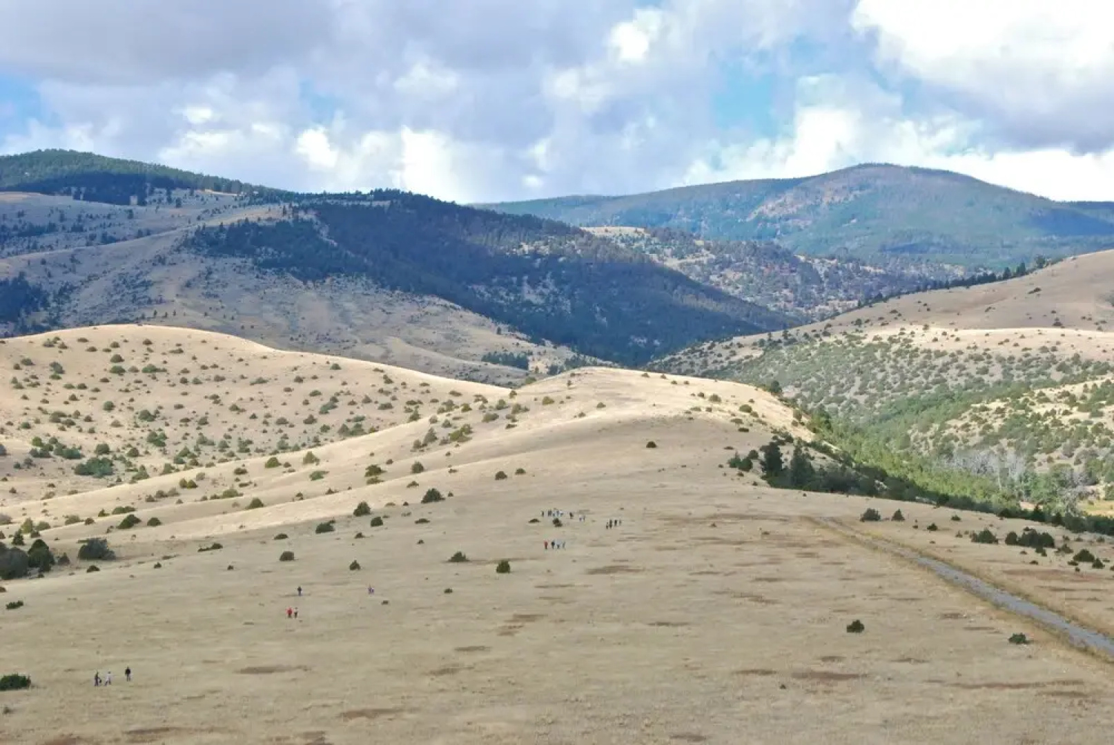 Erik's Ranch