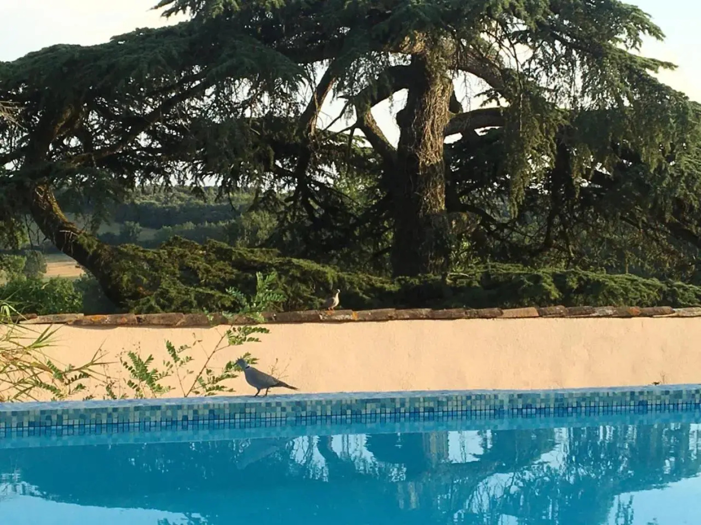 Château de Villeneuve