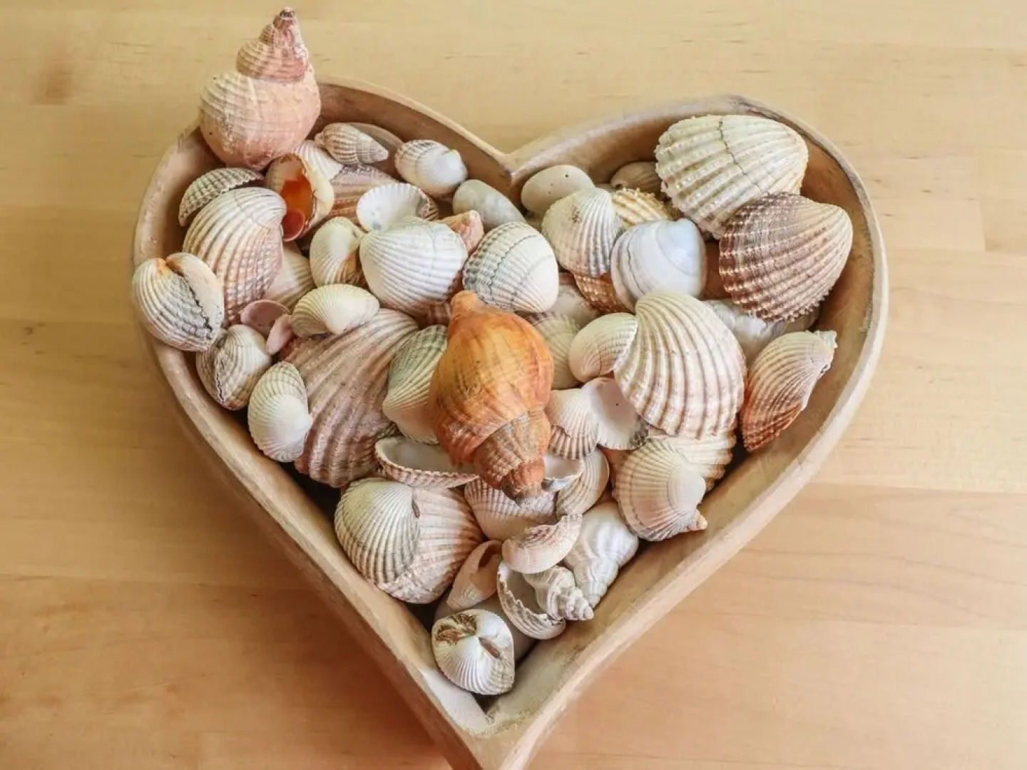 Beachfront House With Stunning sea Views and Jacuzzi Bathtub