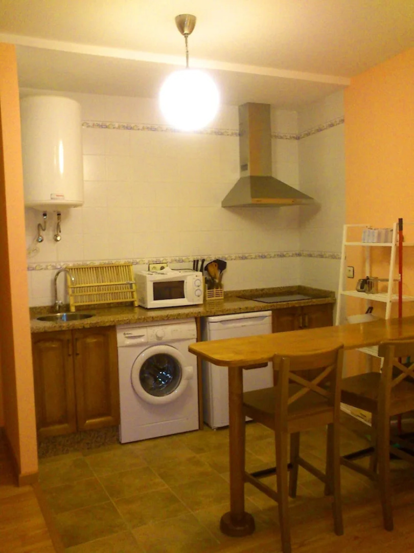 Apartamentos La Panerona Centro