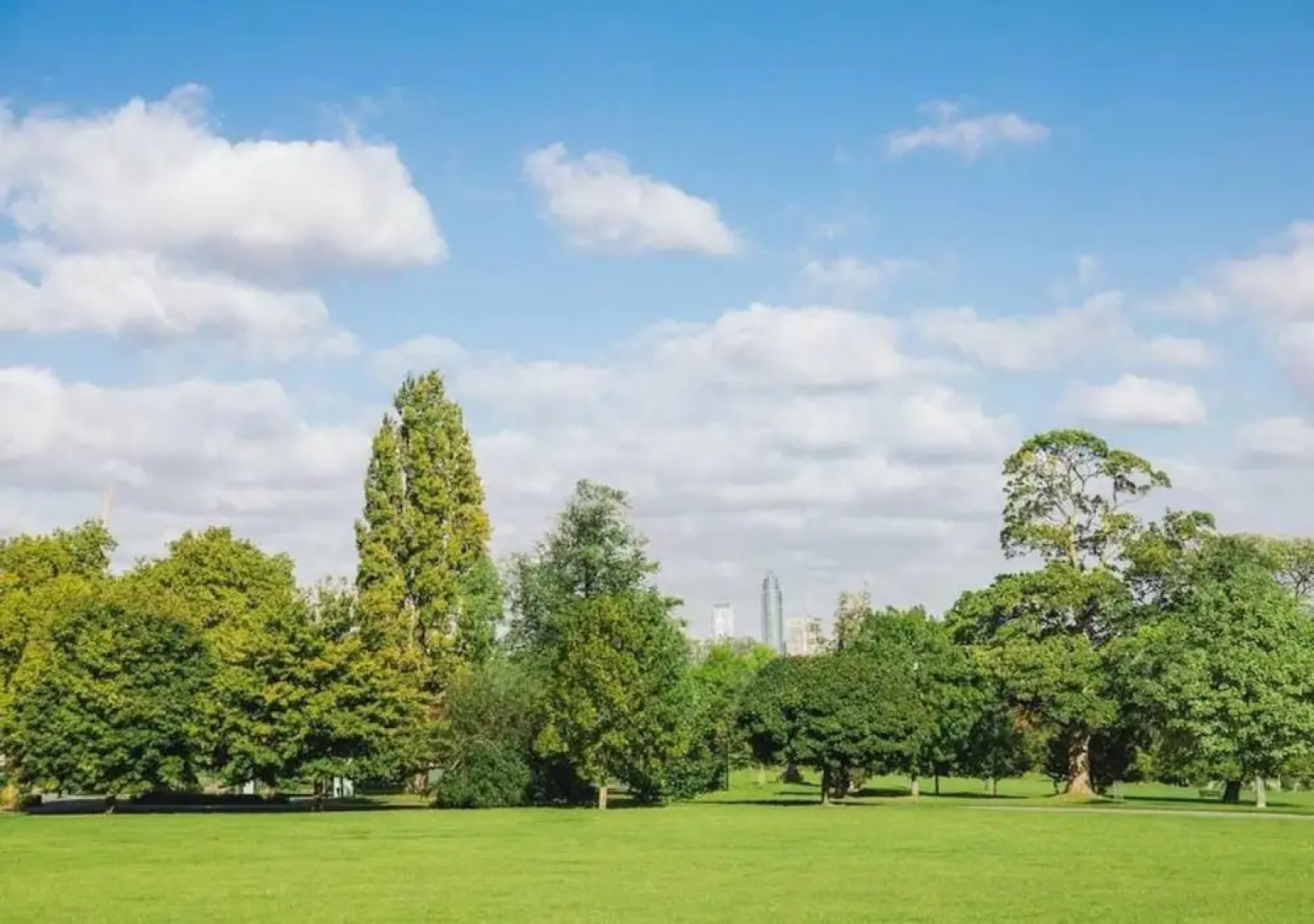 Beautiful 1bed Apartment Next to Brockwell Park