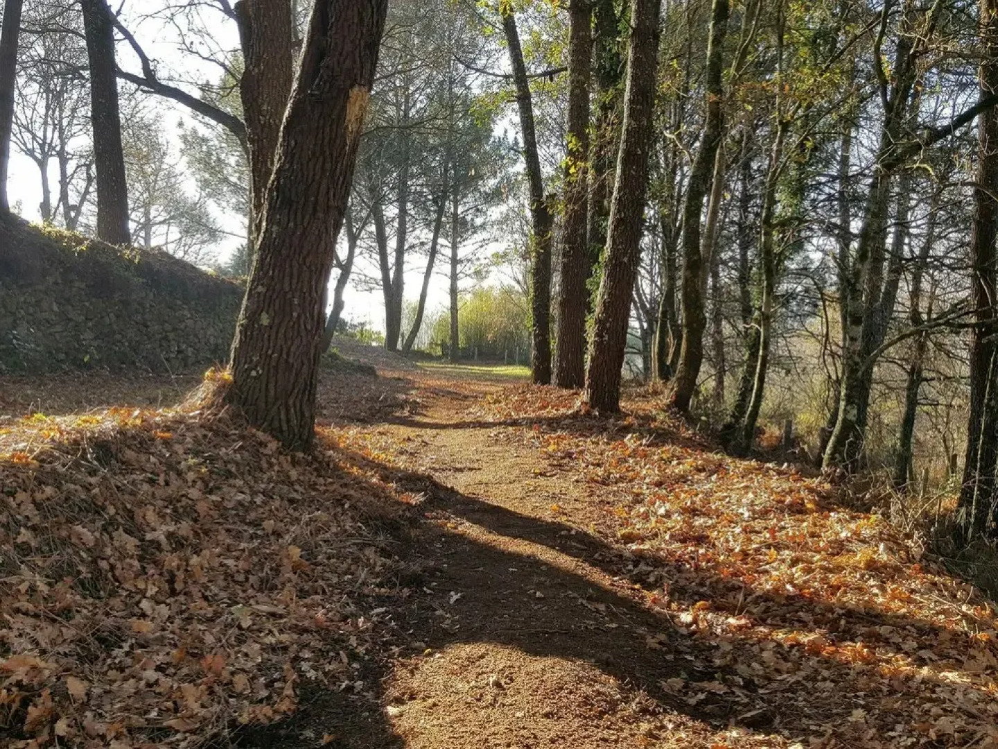 Stylish Property with Swimming Pool & Garden in Pontevedra near Portugal