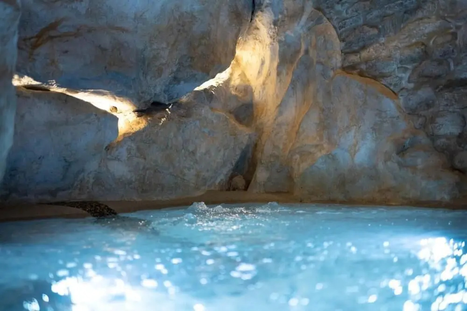 Forma your Boutique Suite