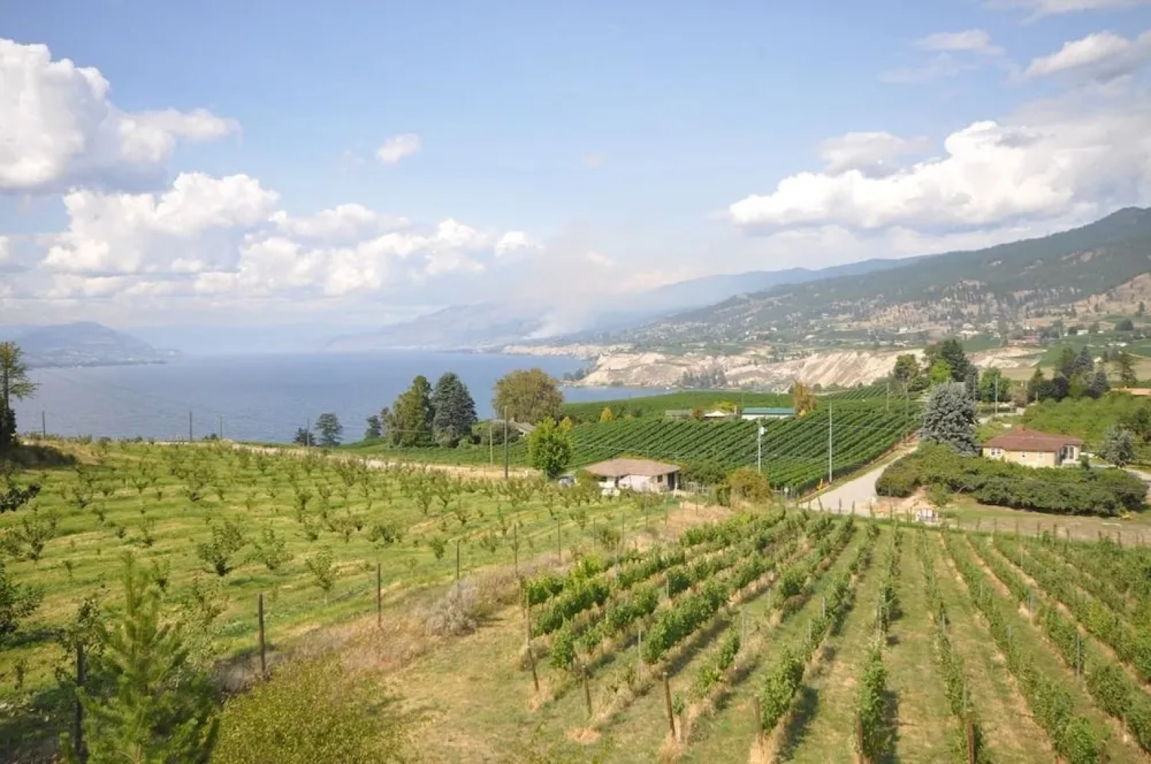 Serenata Guesthouse & Vineyard Retreat