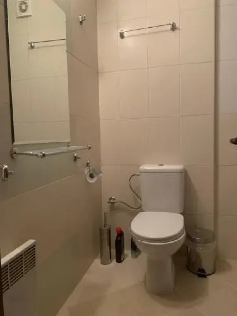 One Bedroom Appartment in Pirin 3