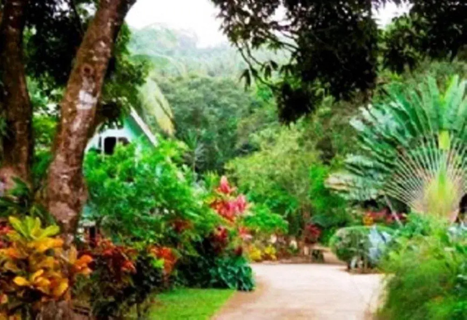 Coffeeriver Cottages