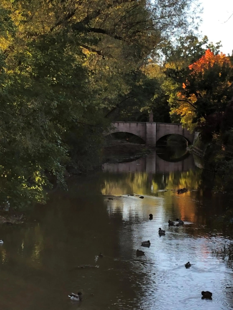 Riverside apartment in central Herzogenaurach