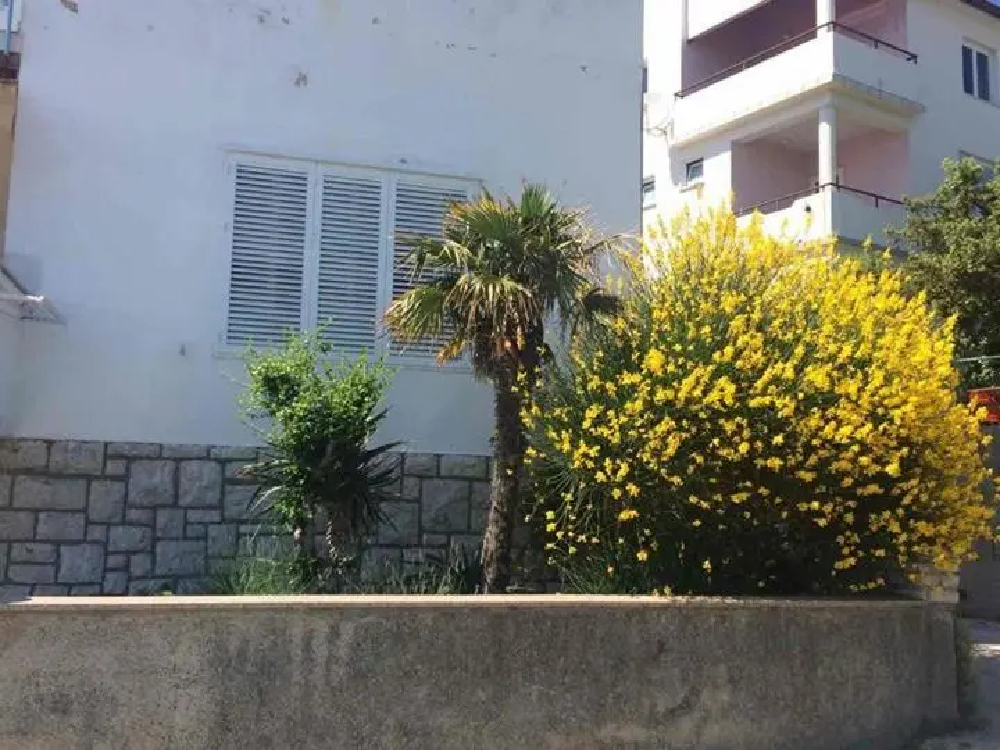 Apartment Ella