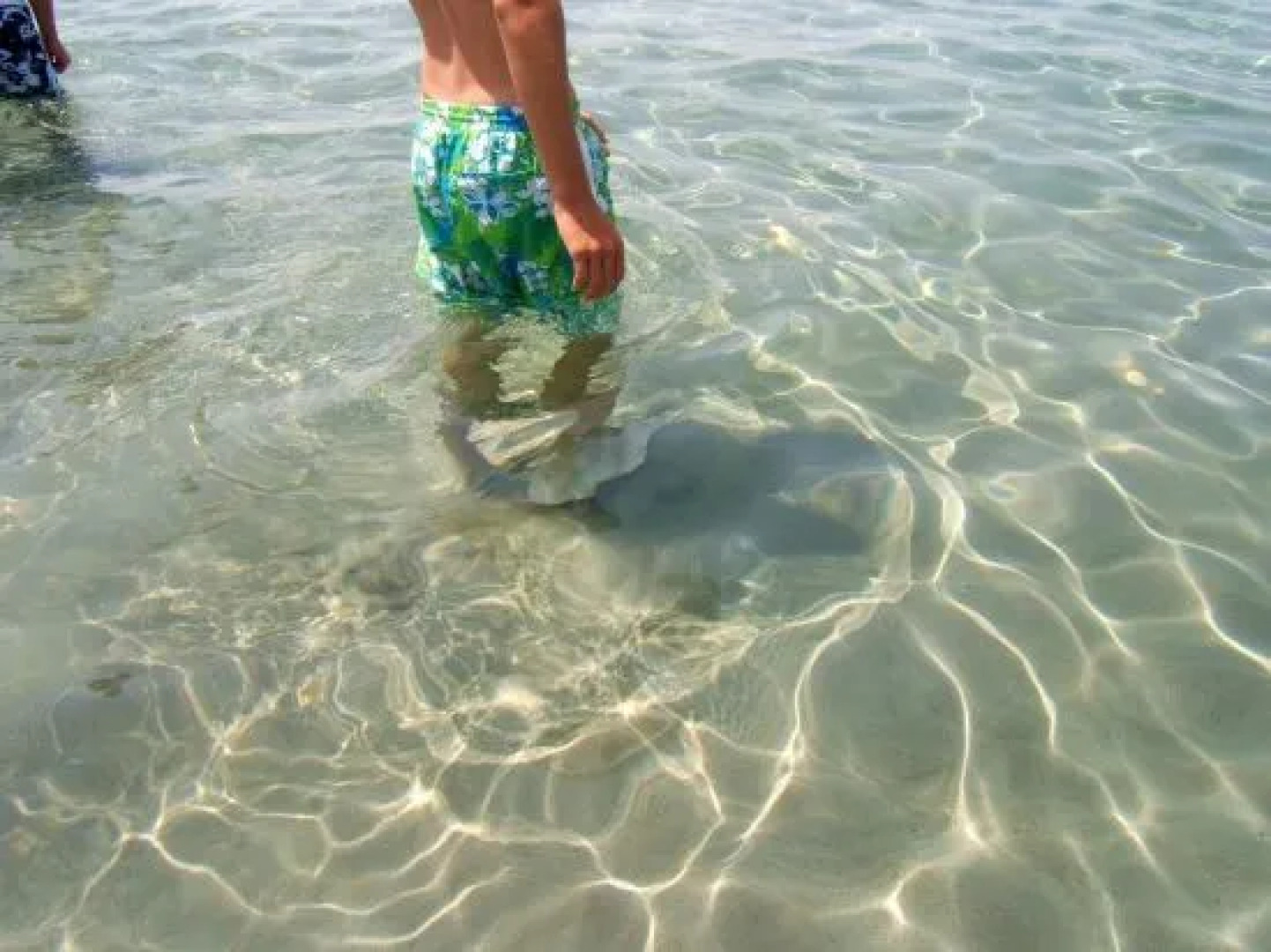 Una Terrazza sul Mare